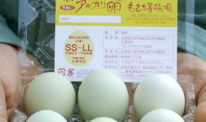 納豆鶏のアルカリ卵